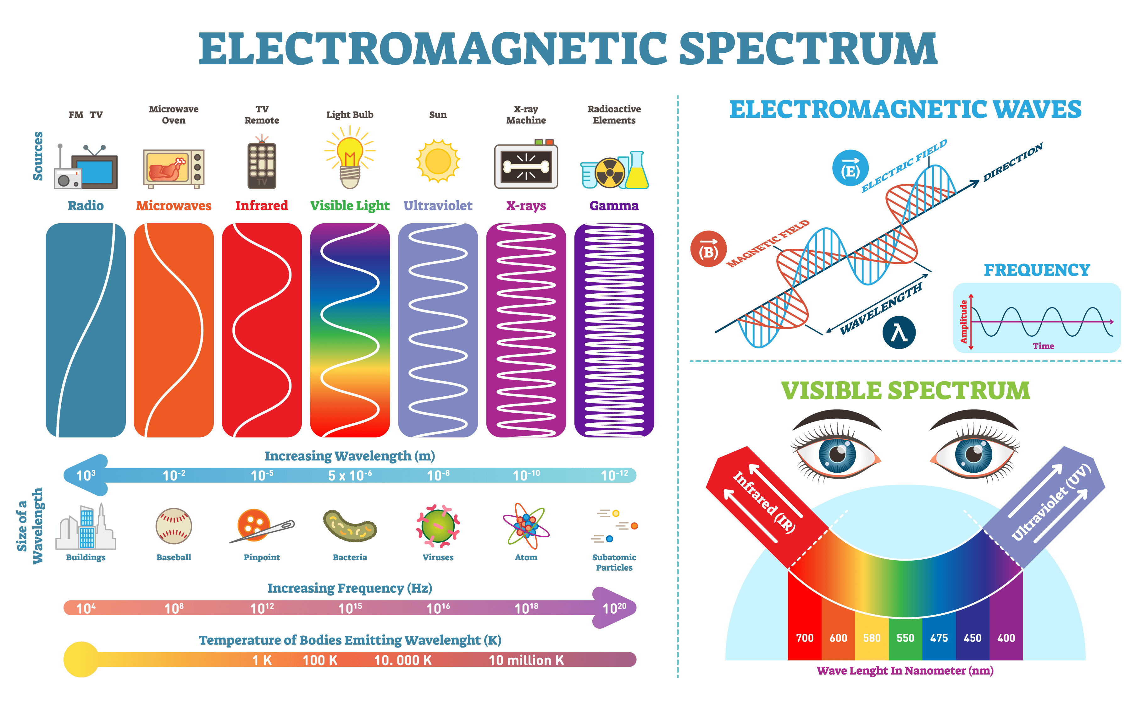 Full Electromagnetic Spectrum Information collection, vector illustration diagram with wave lengths, frequency and temperature. Electromagnetic wave structure scheme. Physics infographic elements